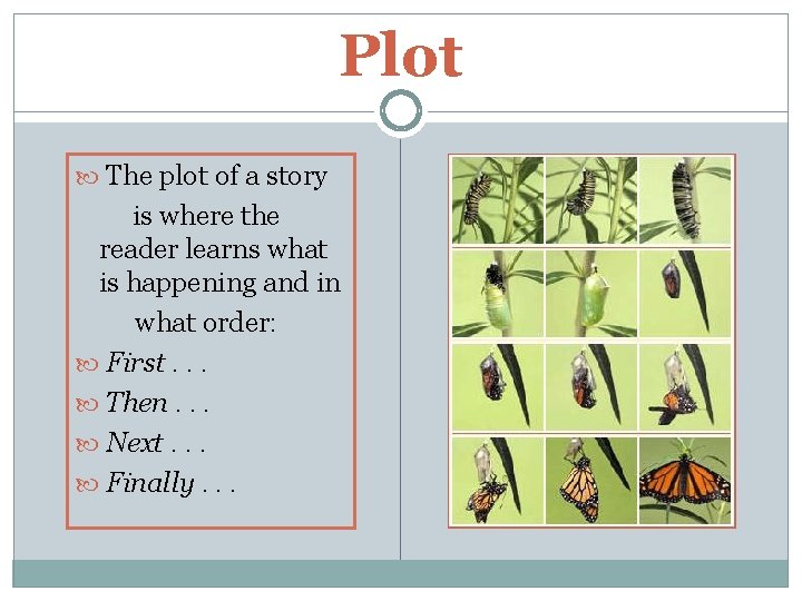 Plot The plot of a story is where the reader learns what is happening
