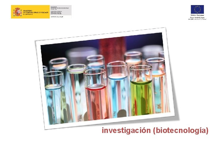 investigación (biotecnología) 