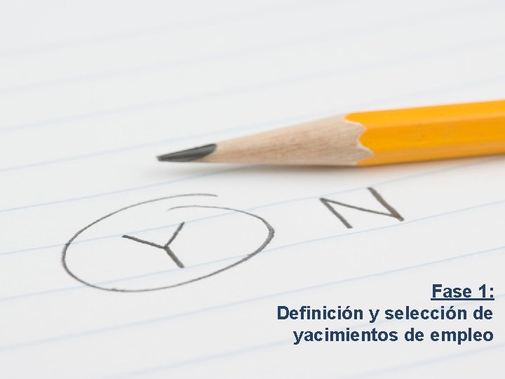 Fase 1: Definición y selección de yacimientos de empleo 