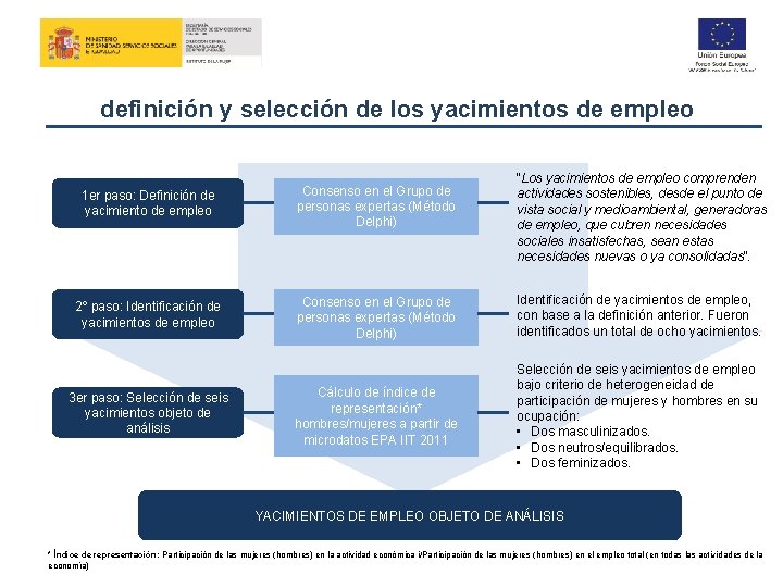 definición y selección de los yacimientos de empleo “Los yacimientos de empleo comprenden actividades