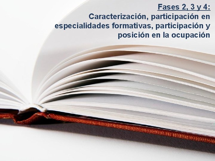 Fases 2, 3 y 4: Caracterización, participación en especialidades formativas, participación y posición en