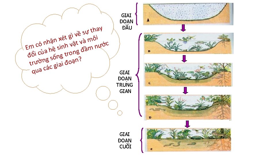 ay h t ự s ề v ì g i ét ô x m