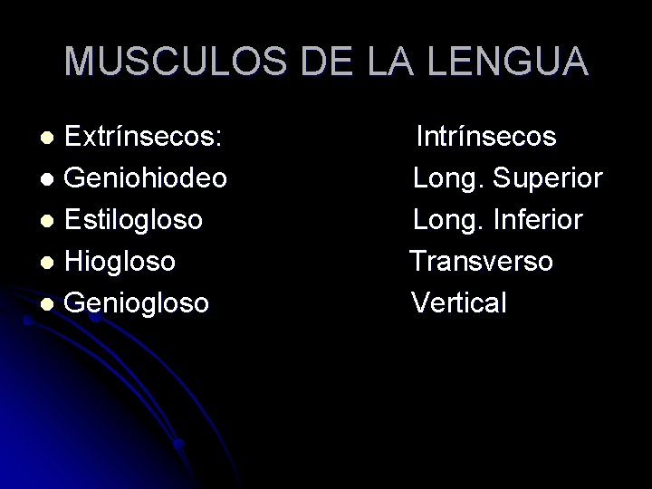 MUSCULOS DE LA LENGUA Extrínsecos: l Geniohiodeo l Estilogloso l Hiogloso l Geniogloso l