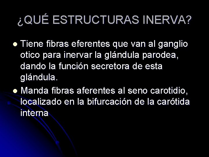 ¿QUÉ ESTRUCTURAS INERVA? Tiene fibras eferentes que van al ganglio otico para inervar la