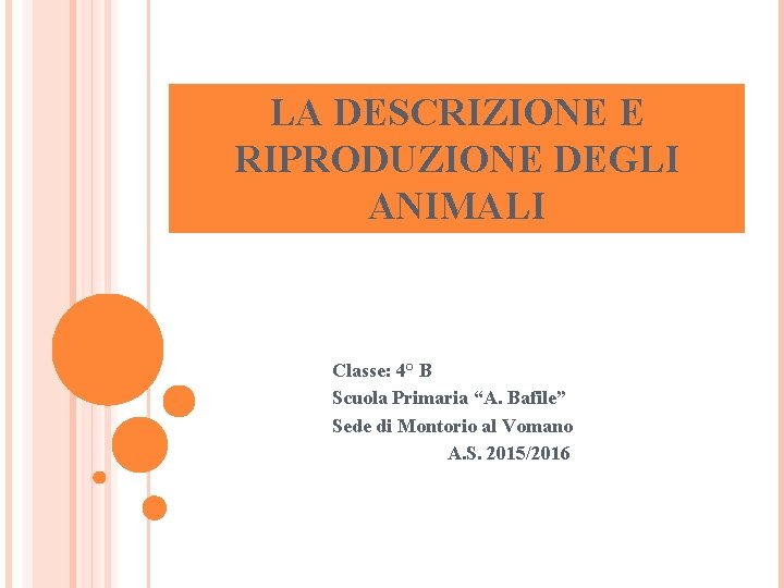 LA DESCRIZIONE E RIPRODUZIONE DEGLI ANIMALI Classe: 4° B Scuola Primaria “A. Bafile” Sede