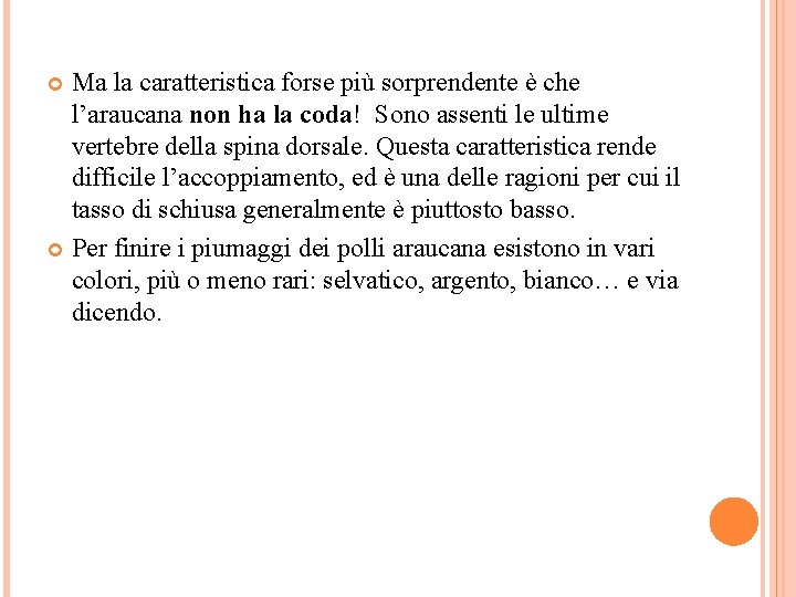 Ma la caratteristica forse più sorprendente è che l’araucana non ha la coda! Sono