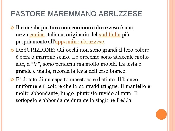 PASTORE MAREMMANO ABRUZZESE Il cane da pastore maremmano abruzzese è una razza canina italiana,