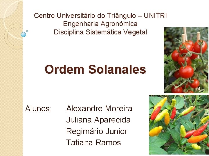 Centro Universitário do Triângulo – UNITRI Engenharia Agronômica Disciplina Sistemática Vegetal Ordem Solanales Alunos: