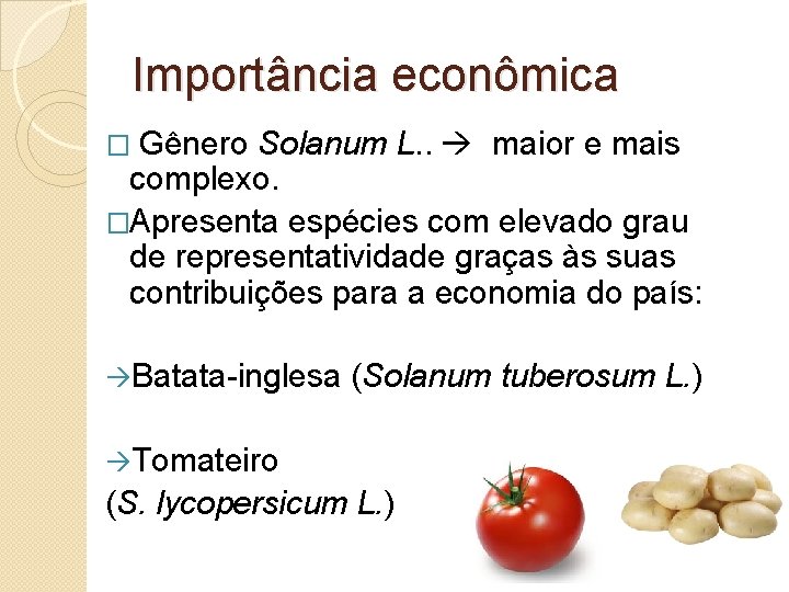 Importância econômica � Gênero Solanum L. . maior e mais complexo. �Apresenta espécies com