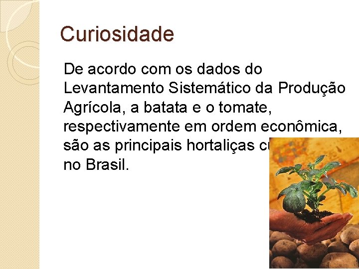 Curiosidade De acordo com os dados do Levantamento Sistemático da Produção Agrícola, a batata