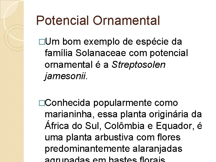 Potencial Ornamental �Um bom exemplo de espécie da família Solanaceae com potencial ornamental é