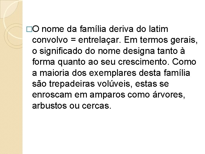 �O nome da família deriva do latim convolvo = entrelaçar. Em termos gerais, o