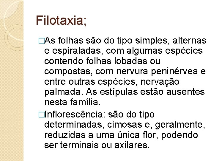 Filotaxia; �As folhas são do tipo simples, alternas e espiraladas, com algumas espécies contendo