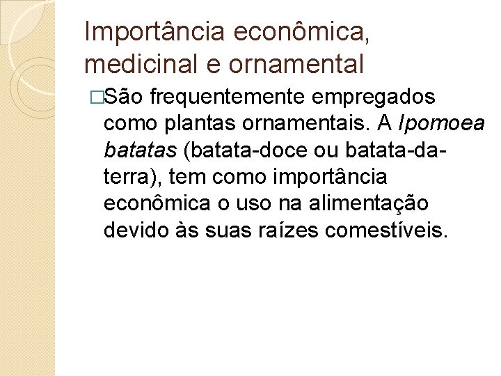 Importância econômica, medicinal e ornamental �São frequentemente empregados como plantas ornamentais. A Ipomoea batatas