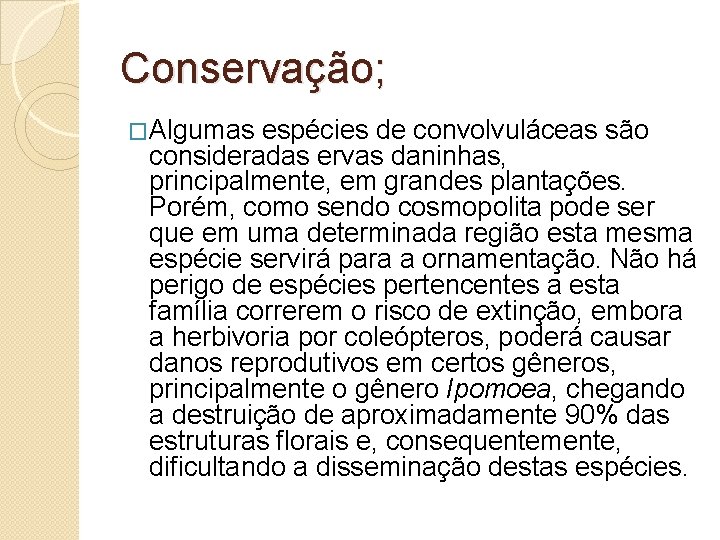 Conservação; �Algumas espécies de convolvuláceas são consideradas ervas daninhas, principalmente, em grandes plantações. Porém,