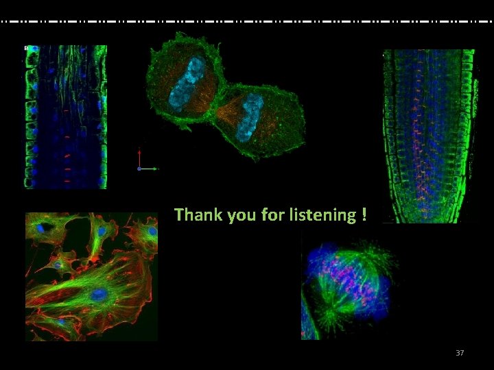 Thank you for listening ! 37 Thank you for listening ! 37