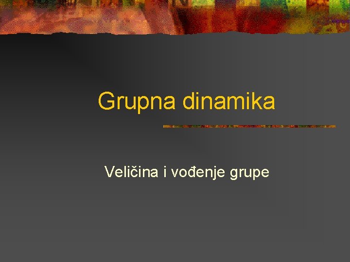 Grupna dinamika Veličina i vođenje grupe 