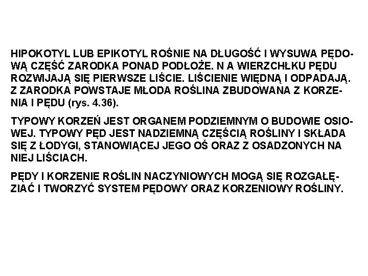 HIPOKOTYL LUB EPIKOTYL ROŚNIE NA DŁUGOŚĆ I WYSUWA PĘDOWĄ CZĘŚĆ ZARODKA PONAD PODŁOŻE. N