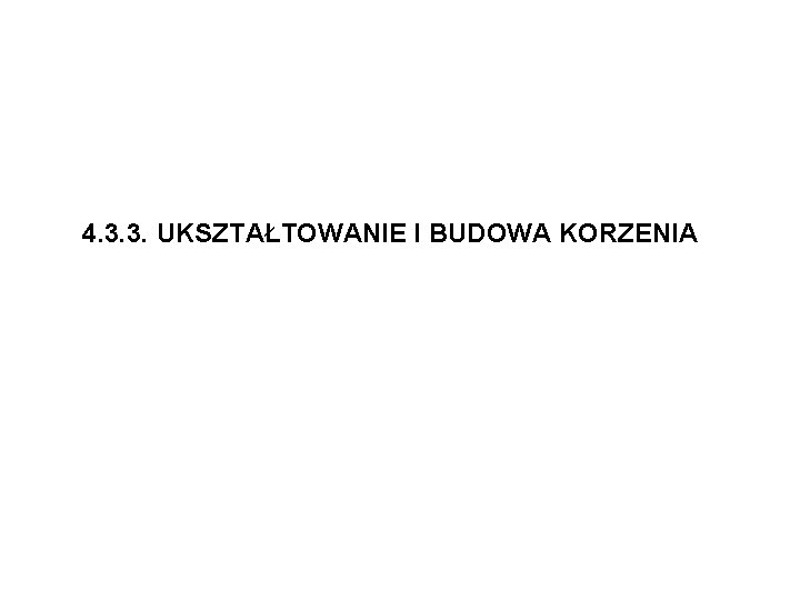 4. 3. 3. UKSZTAŁTOWANIE I BUDOWA KORZENIA 