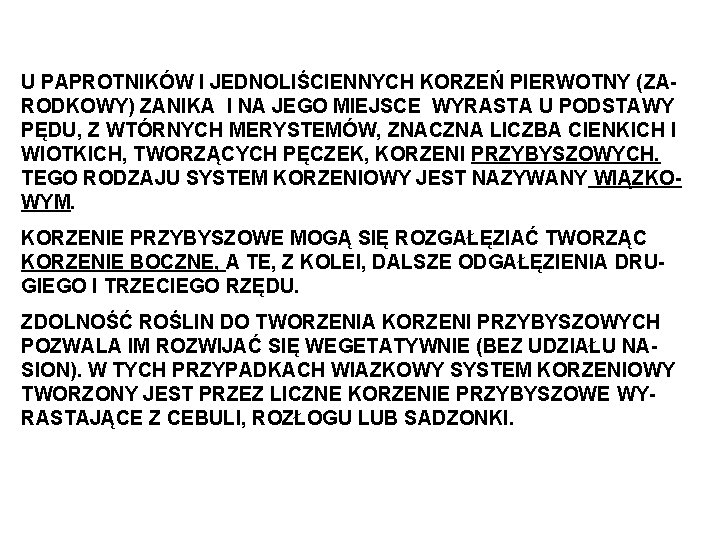 U PAPROTNIKÓW I JEDNOLIŚCIENNYCH KORZEŃ PIERWOTNY (ZARODKOWY) ZANIKA I NA JEGO MIEJSCE WYRASTA U