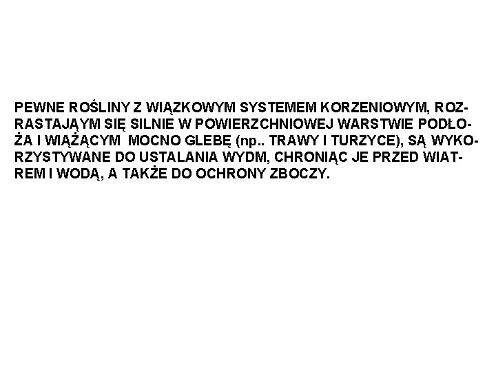 PEWNE ROŚLINY Z WIĄZKOWYM SYSTEMEM KORZENIOWYM, ROZRASTAJĄYM SIĘ SILNIE W POWIERZCHNIOWEJ WARSTWIE PODŁOŻA I