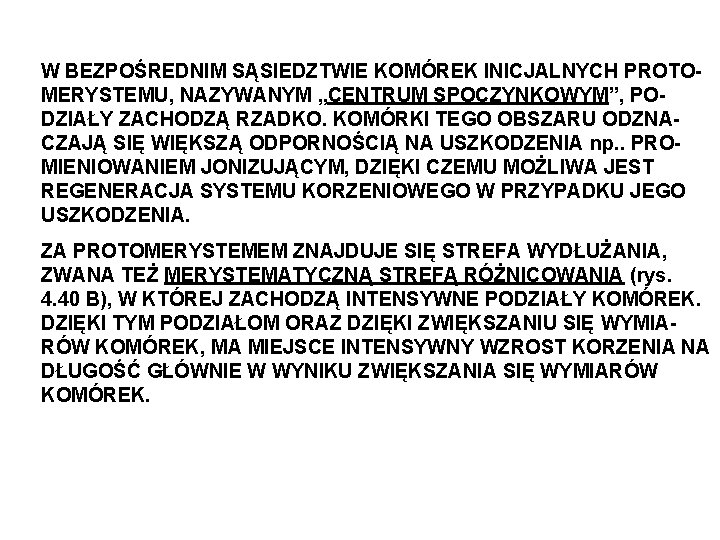 W BEZPOŚREDNIM SĄSIEDZTWIE KOMÓREK INICJALNYCH PROTOMERYSTEMU, NAZYWANYM „CENTRUM SPOCZYNKOWYM”, PODZIAŁY ZACHODZĄ RZADKO. KOMÓRKI TEGO