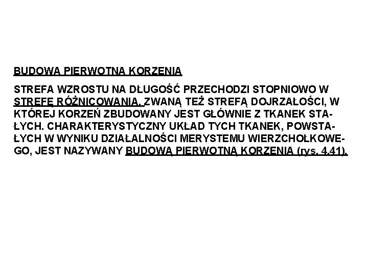 BUDOWA PIERWOTNA KORZENIA STREFA WZROSTU NA DŁUGOŚĆ PRZECHODZI STOPNIOWO W STREFĘ RÓŻNICOWANIA, ZWANĄ TEŻ