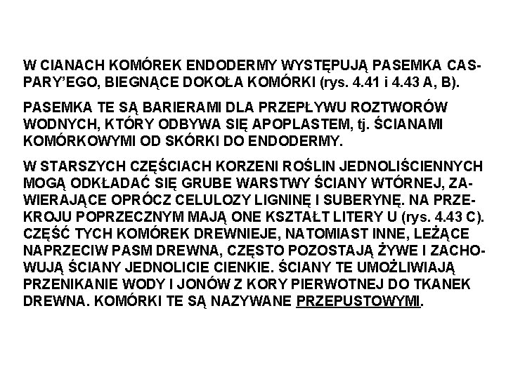 W CIANACH KOMÓREK ENDODERMY WYSTĘPUJĄ PASEMKA CASPARY’EGO, BIEGNĄCE DOKOŁA KOMÓRKI (rys. 4. 41 i