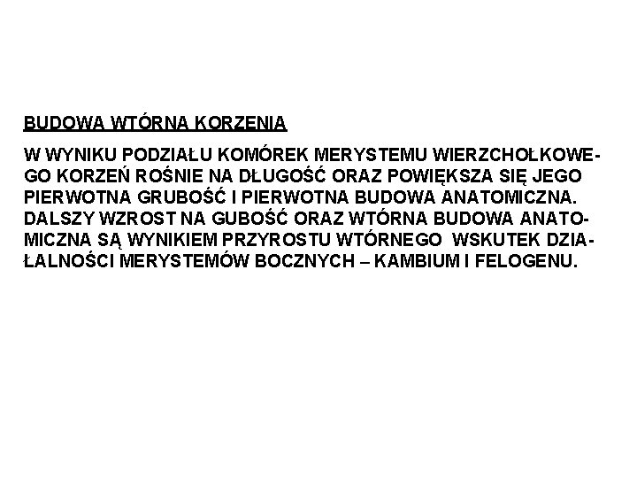BUDOWA WTÓRNA KORZENIA W WYNIKU PODZIAŁU KOMÓREK MERYSTEMU WIERZCHOŁKOWEGO KORZEŃ ROŚNIE NA DŁUGOŚĆ ORAZ