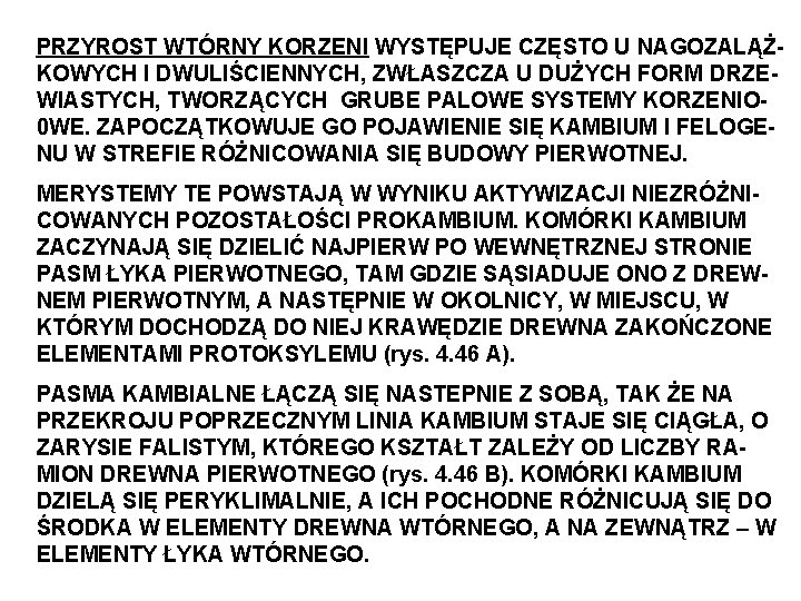 PRZYROST WTÓRNY KORZENI WYSTĘPUJE CZĘSTO U NAGOZALĄŻKOWYCH I DWULIŚCIENNYCH, ZWŁASZCZA U DUŻYCH FORM DRZEWIASTYCH,
