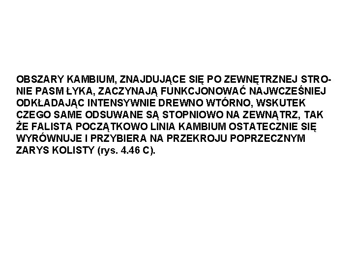 OBSZARY KAMBIUM, ZNAJDUJĄCE SIĘ PO ZEWNĘTRZNEJ STRONIE PASM ŁYKA, ZACZYNAJĄ FUNKCJONOWAĆ NAJWCZEŚNIEJ ODKŁADAJĄC INTENSYWNIE