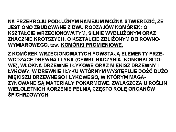 NA PRZEKROJU PODŁUŻNYM KAMBIUM MOŻNA STWIERDZIĆ, ŻE JEST ONO ZBUDOWANE Z DWU RODZAJÓW KOMÓREK: