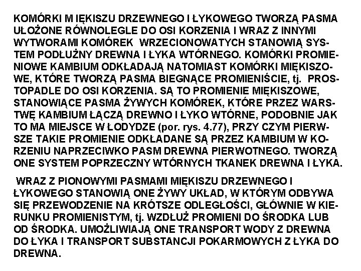 KOMÓRKI M IĘKISZU DRZEWNEGO I ŁYKOWEGO TWORZĄ PASMA UŁOŻONE RÓWNOLEGLE DO OSI KORZENIA I