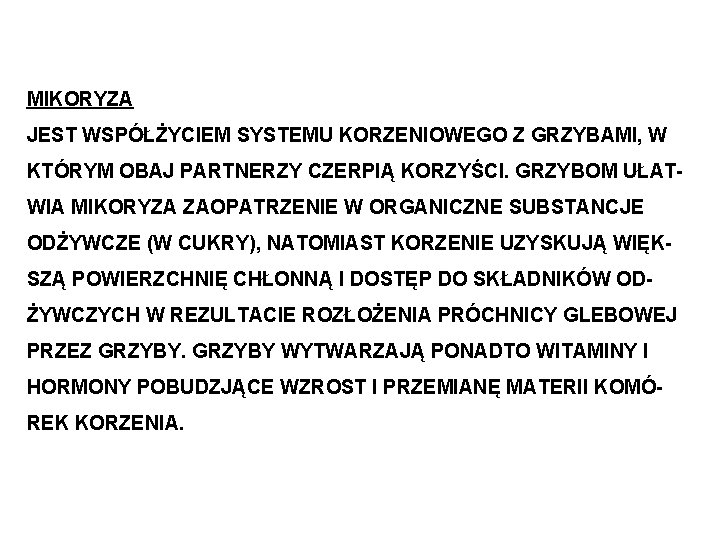 MIKORYZA JEST WSPÓŁŻYCIEM SYSTEMU KORZENIOWEGO Z GRZYBAMI, W KTÓRYM OBAJ PARTNERZY CZERPIĄ KORZYŚCI. GRZYBOM