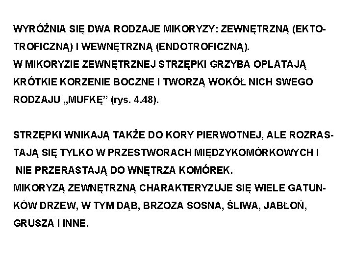 WYRÓŻNIA SIĘ DWA RODZAJE MIKORYZY: ZEWNĘTRZNĄ (EKTOTROFICZNĄ) I WEWNĘTRZNĄ (ENDOTROFICZNĄ). W MIKORYZIE ZEWNĘTRZNEJ STRZĘPKI