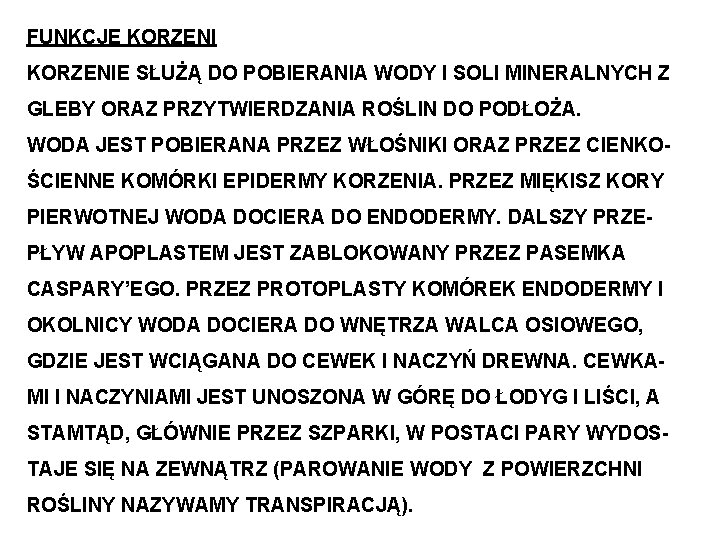 FUNKCJE KORZENIE SŁUŻĄ DO POBIERANIA WODY I SOLI MINERALNYCH Z GLEBY ORAZ PRZYTWIERDZANIA ROŚLIN