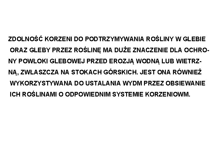 ZDOLNOŚĆ KORZENI DO PODTRZYMYWANIA ROŚLINY W GLEBIE ORAZ GLEBY PRZEZ ROŚLINĘ MA DUŻE ZNACZENIE