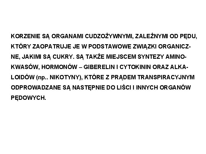 KORZENIE SĄ ORGANAMI CUDZOŻYWNYMI, ZALEŻNYMI OD PĘDU, KTÓRY ZAOPATRUJE JE W PODSTAWOWE ZWIĄZKI ORGANICZNE,