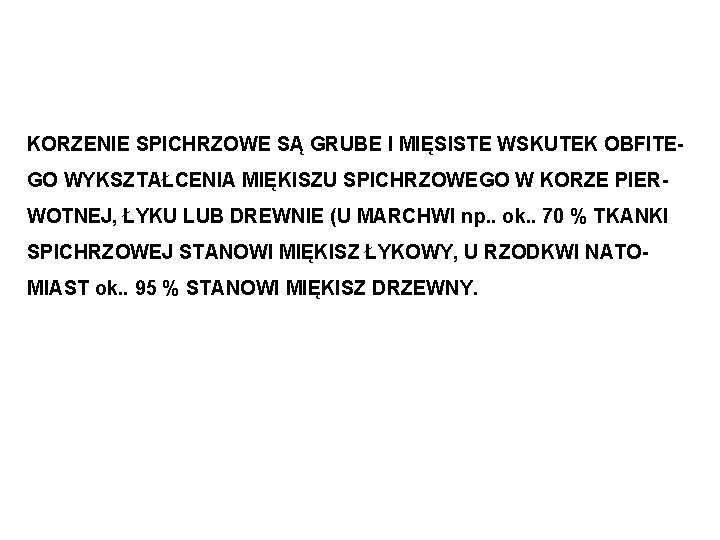 KORZENIE SPICHRZOWE SĄ GRUBE I MIĘSISTE WSKUTEK OBFITEGO WYKSZTAŁCENIA MIĘKISZU SPICHRZOWEGO W KORZE PIERWOTNEJ,