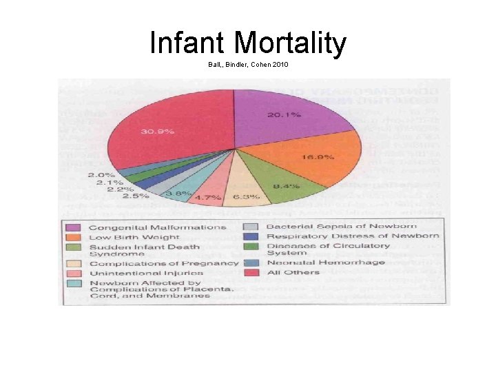 Infant Mortality Ball, , Bindler, Cohen 2010 