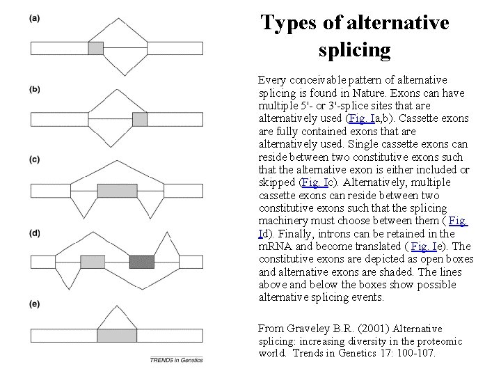 Types of alternative splicing Every conceivable pattern of alternative splicing is found in Nature.