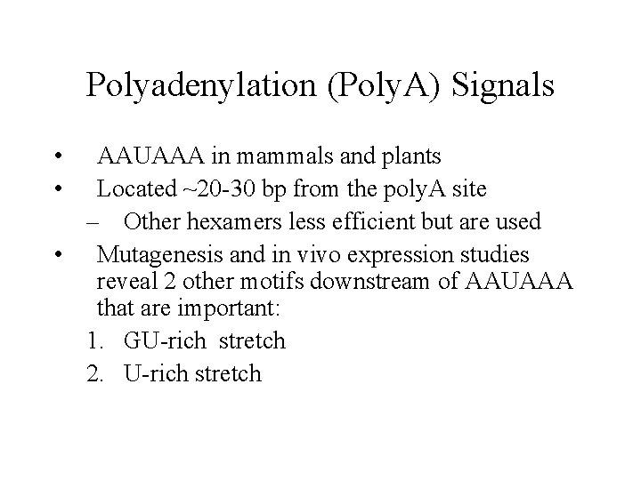 Polyadenylation (Poly. A) Signals • • AAUAAA in mammals and plants Located ~20 -30