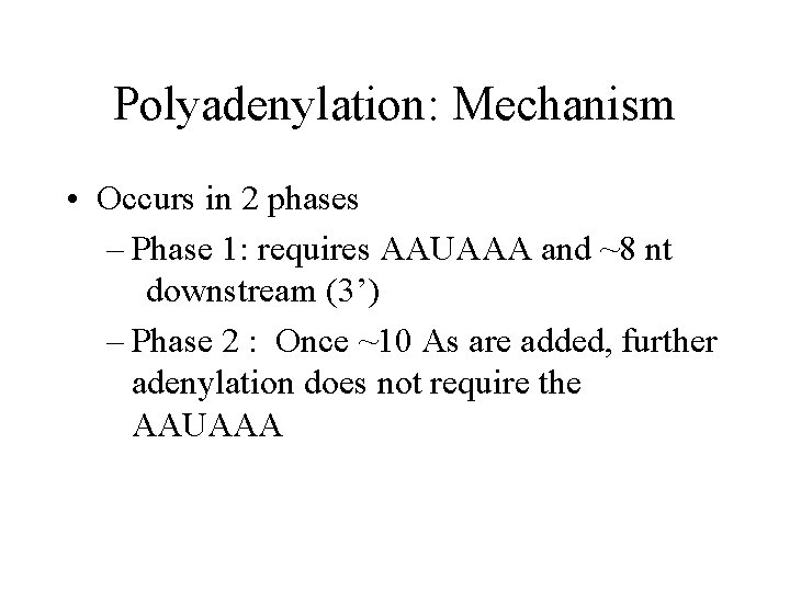 Polyadenylation: Mechanism • Occurs in 2 phases – Phase 1: requires AAUAAA and ~8