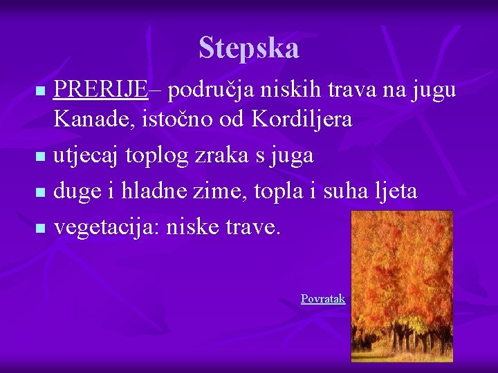 Stepska PRERIJE– područja niskih trava na jugu Kanade, istočno od Kordiljera n utjecaj toplog