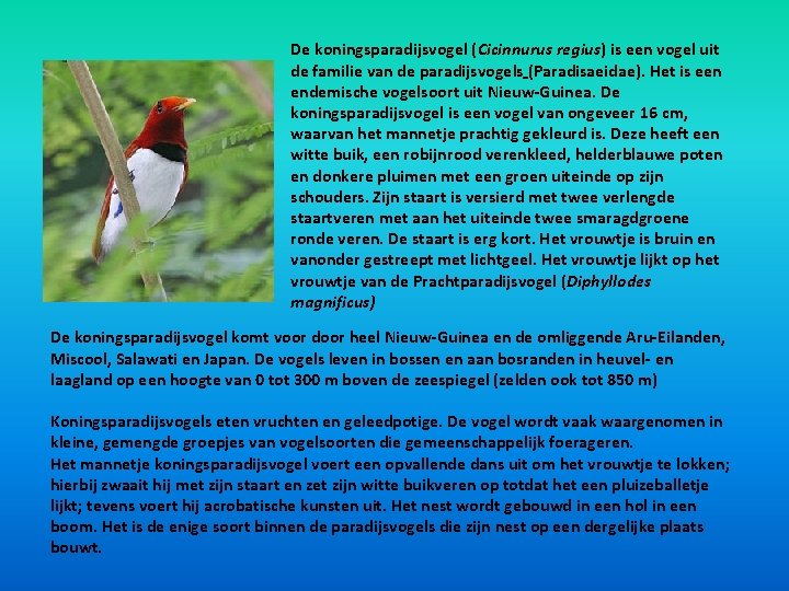 De koningsparadijsvogel (Cicinnurus regius) is een vogel uit de familie van de paradijsvogels (Paradisaeidae). De koningsparadijsvogel (Cicinnurus regius) is een vogel uit de familie van de paradijsvogels (Paradisaeidae).