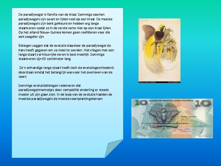 De paradijsvogel is familie van de kraai. Sommige soorten paradijsvogels zijn zwart en lijken De paradijsvogel is familie van de kraai. Sommige soorten paradijsvogels zijn zwart en lijken
