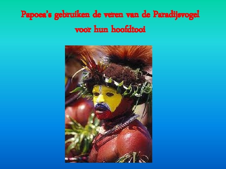 Papoea’s gebruiken de veren van de Paradijsvogel voor hun hoofdtooi Papoea’s gebruiken de veren van de Paradijsvogel voor hun hoofdtooi