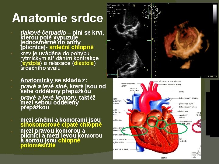 Anatomie srdce - - tlakové čerpadlo – plní se krví, kterou poté vypuzuje jednosměrně