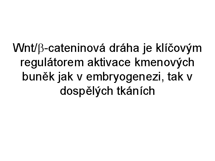 Wnt/ -cateninová dráha je klíčovým regulátorem aktivace kmenových buněk jak v embryogenezi, tak v