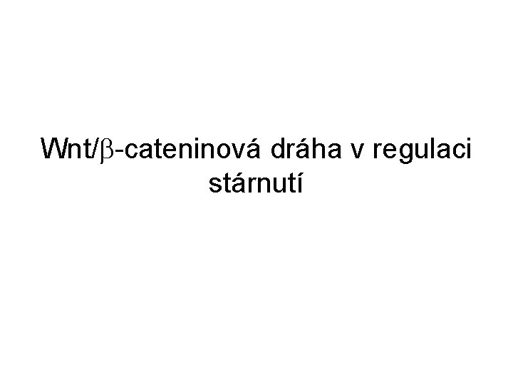 Wnt/ -cateninová dráha v regulaci stárnutí 
